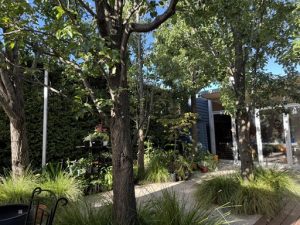 landscape design eastern suburbs melbourne