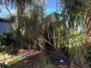 landscape design eastern suburbs melbourne