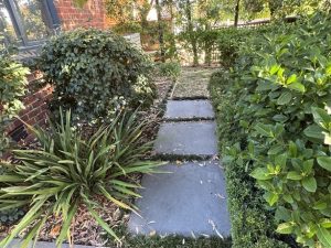 landscape design eastern suburbs melbourne