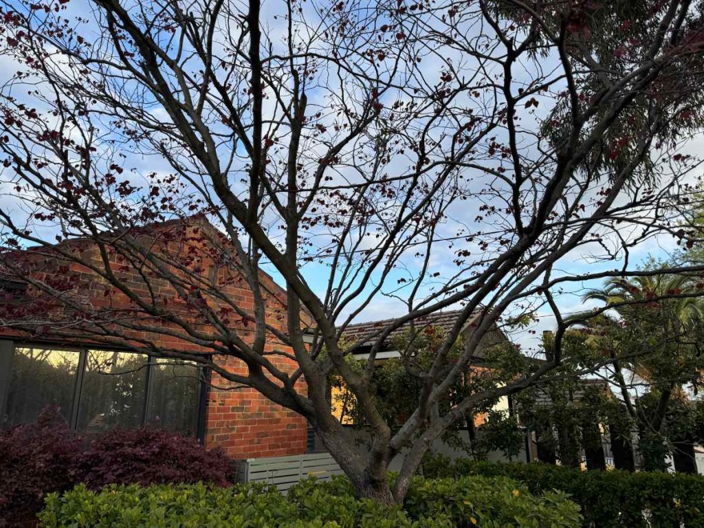 landscape solution