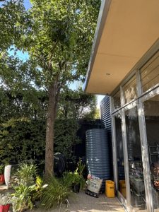 landscape design eastern suburbs melbourne