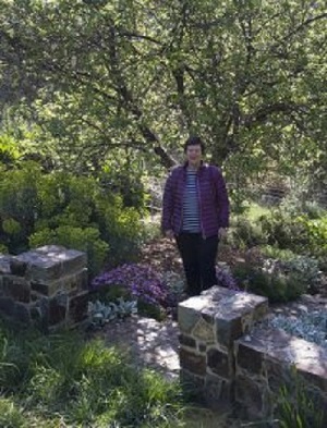 Landscape Designer Garden Designer